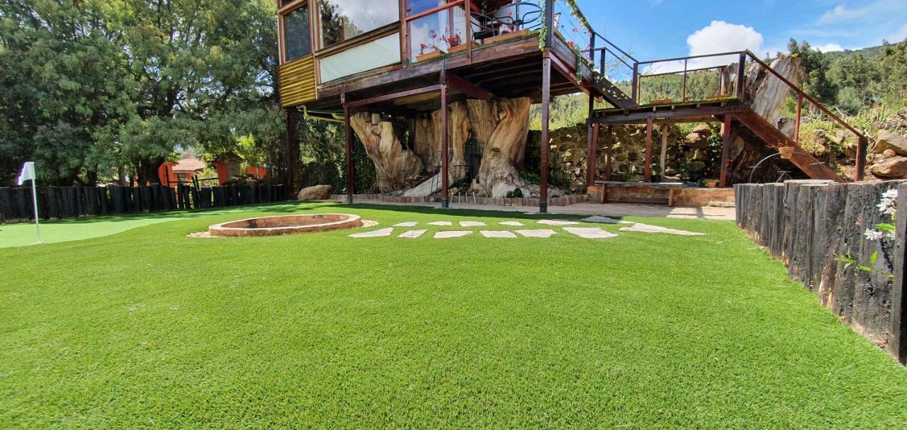 Villa Casa en el Árbol Suesca Exterior foto